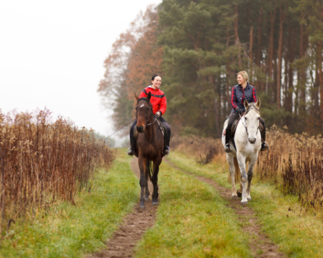 Horseback riding, 2 ladies