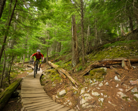 6, mountain biking, forest